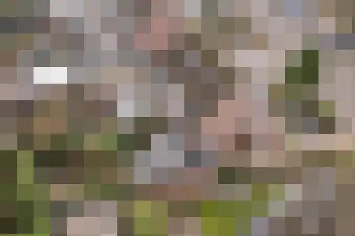 Weverskamp 57 Harderwijk thumbnail 68