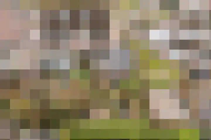 Weverskamp 57 Harderwijk thumbnail 69