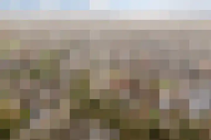 Weverskamp 57 Harderwijk thumbnail 71