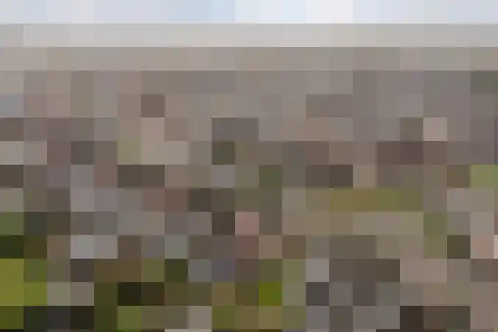 Weverskamp 57 Harderwijk thumbnail 72