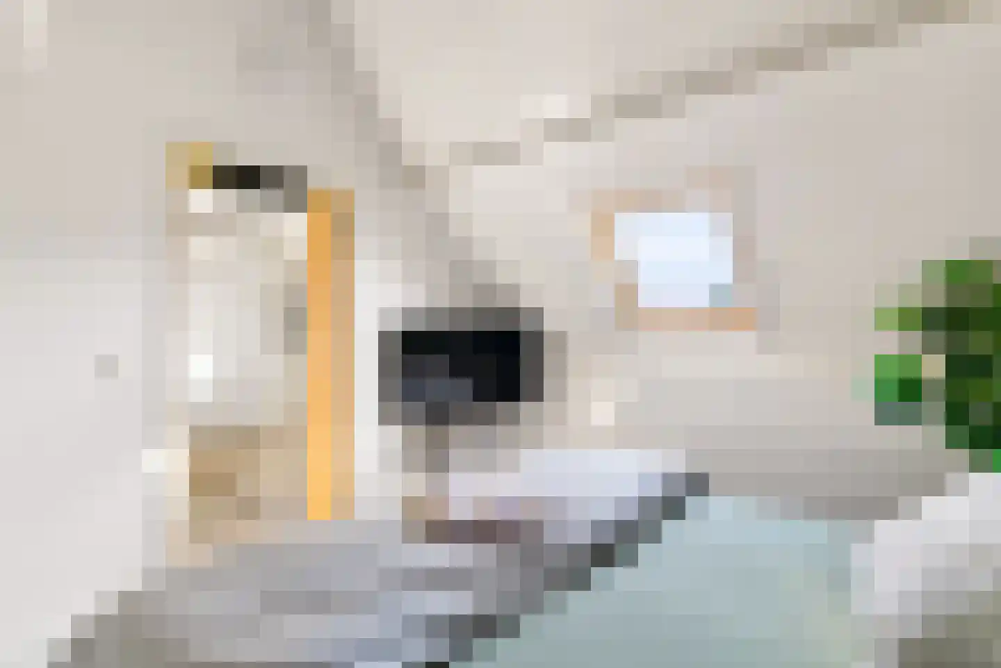 Weverskamp 61 Harderwijk thumbnail 43
