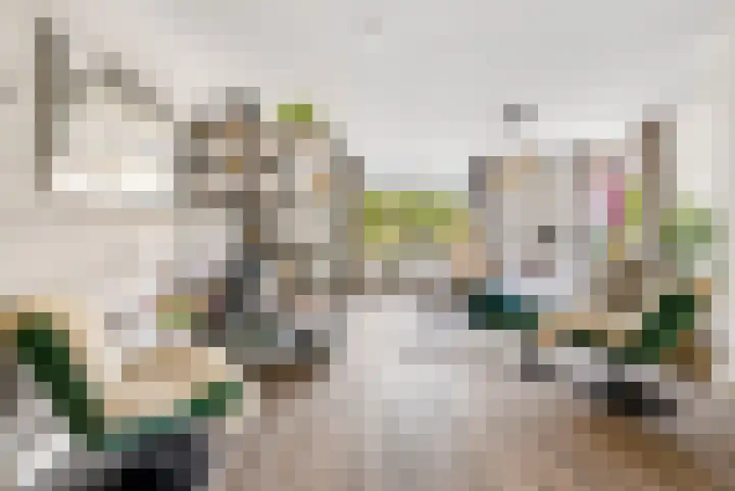 Weverskamp 61 Harderwijk thumbnail 8