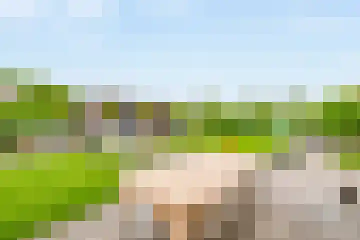 Weverskamp 77 Harderwijk foto 2