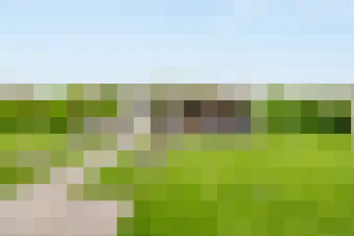 Weverskamp 77 Harderwijk thumbnail 36