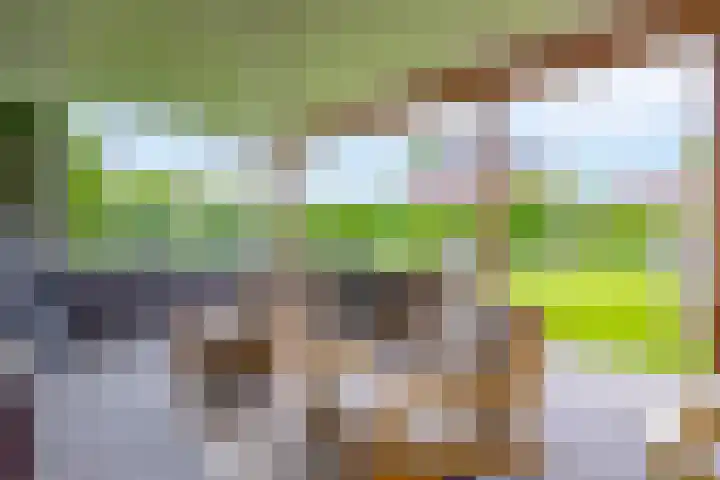 Weverskamp 77 Harderwijk thumbnail 38