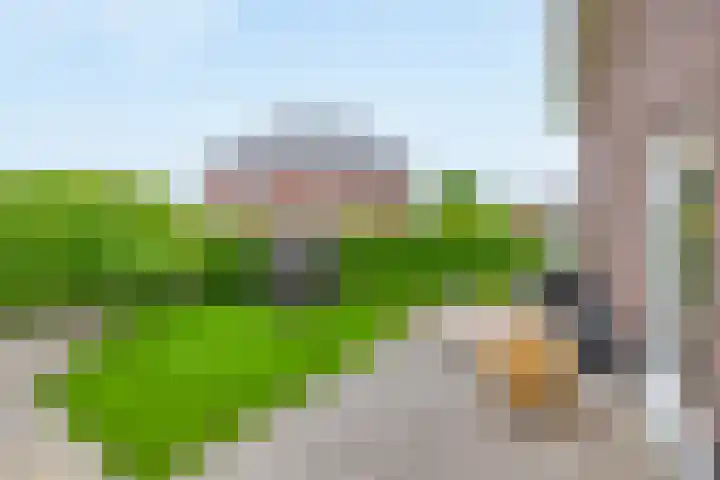 Weverskamp 77 Harderwijk thumbnail 43
