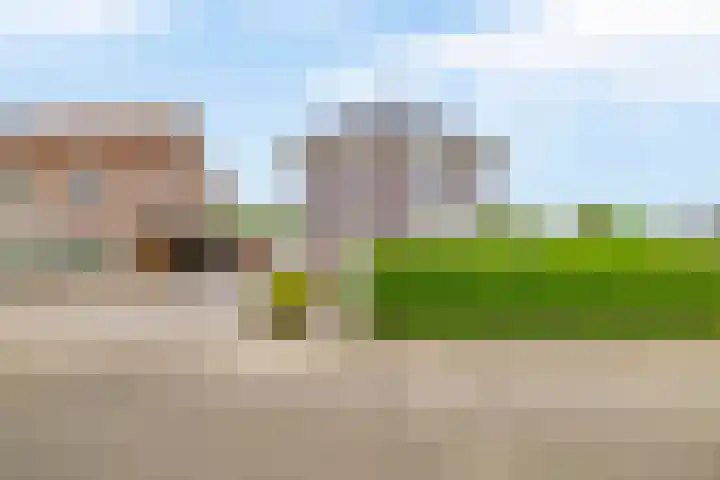 Weverskamp 77 Harderwijk thumbnail 45