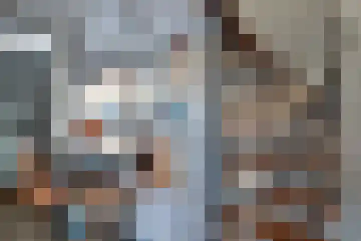 Weverskat 8 Bergen op Zoom thumbnail 10