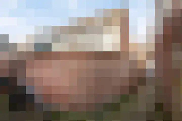 Weverskat 8 Bergen op Zoom thumbnail 23