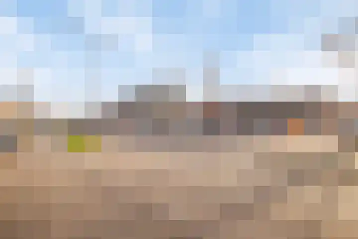 Weverskat 8 Bergen op Zoom thumbnail 29