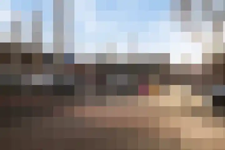 Weverskat 8 Bergen op Zoom thumbnail 30