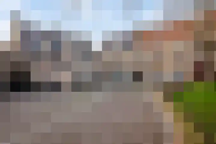 Weverskat 8 Bergen op Zoom thumbnail 32