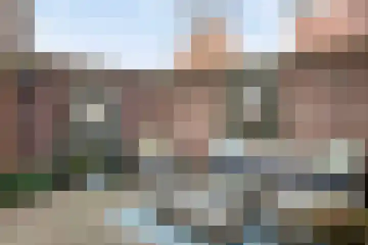 Weverskat 8 Bergen op Zoom thumbnail 5