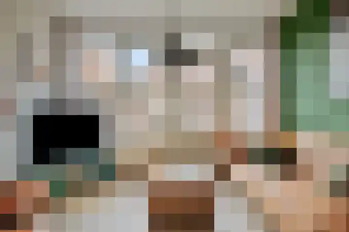 Weverskat 8 Bergen op Zoom thumbnail 7