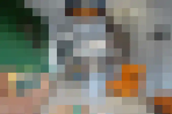 Weverskat 8 Bergen op Zoom thumbnail 9