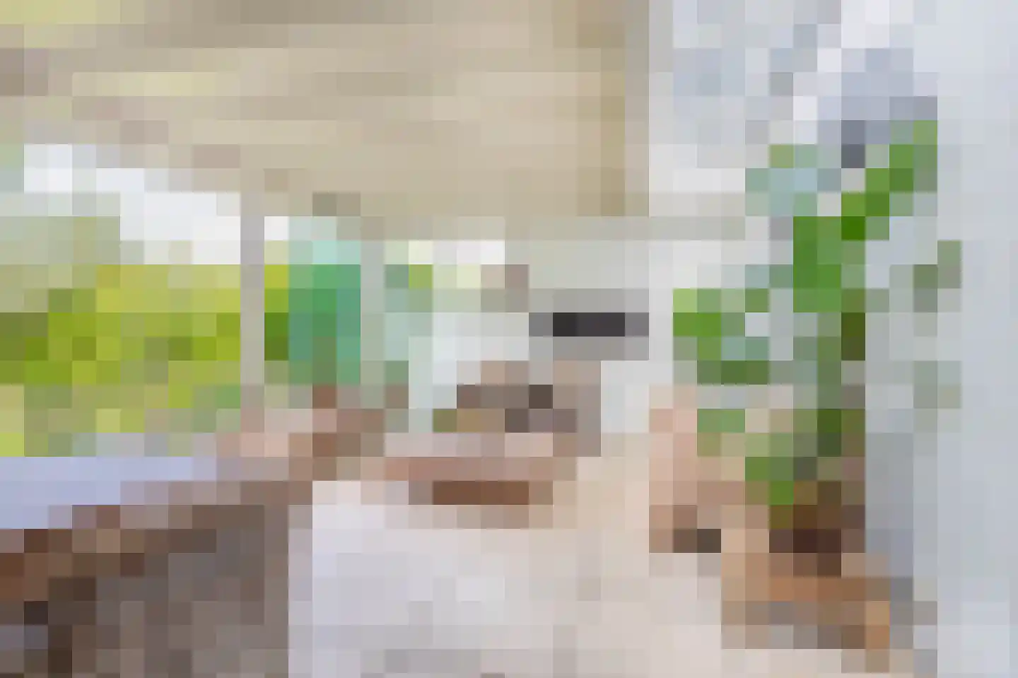 Weverslaan 13 Voorthuizen thumbnail 12