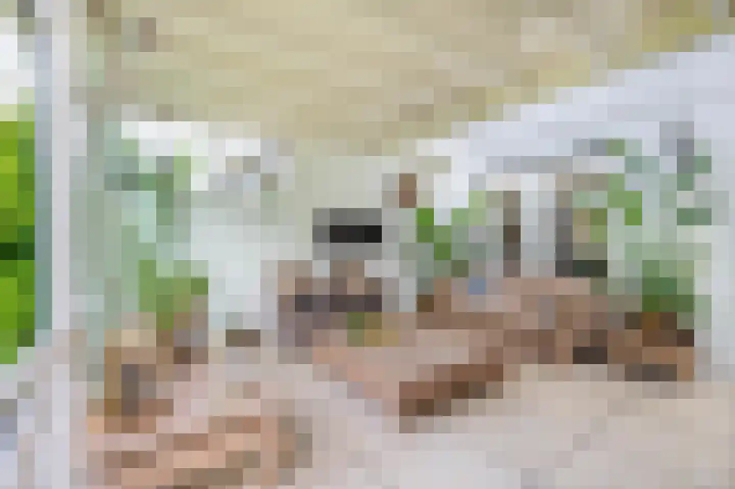 Weverslaan 13 Voorthuizen thumbnail 13