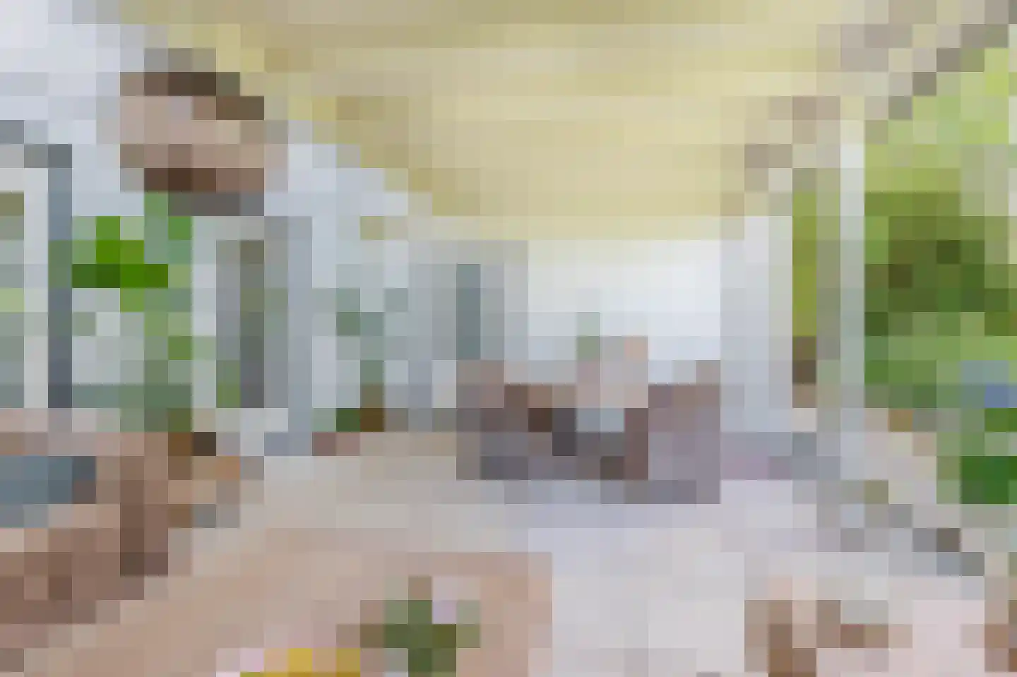 Weverslaan 13 Voorthuizen thumbnail 14