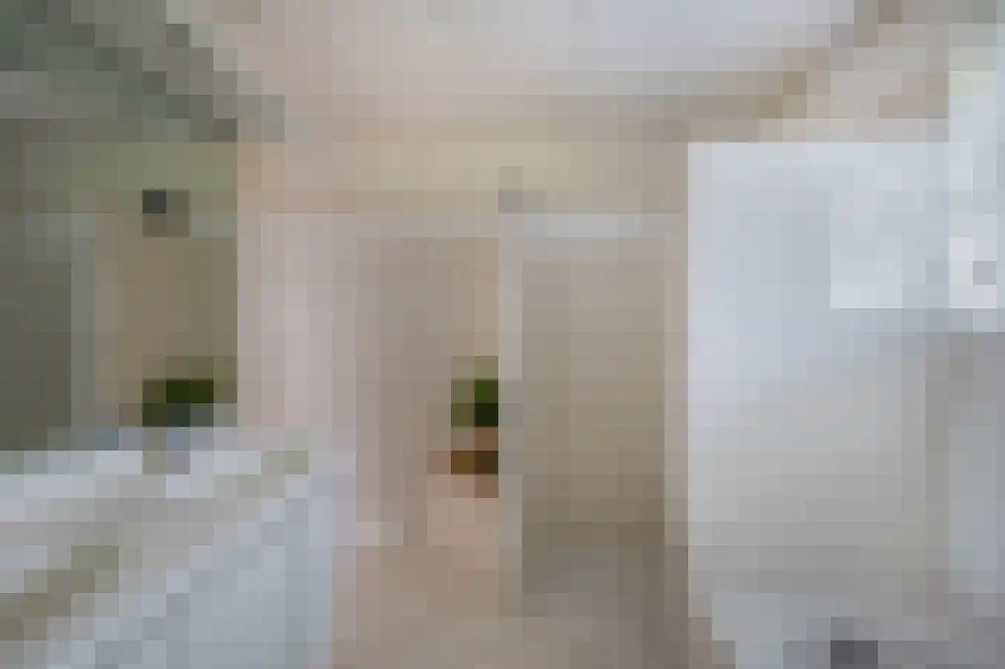 Weverslaan 13 Voorthuizen thumbnail 23