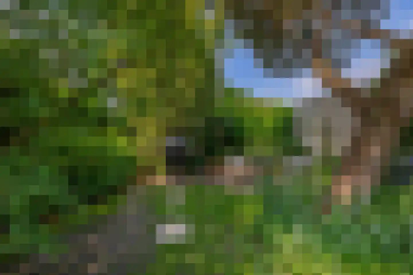 Weverslaan 13 Voorthuizen thumbnail 31