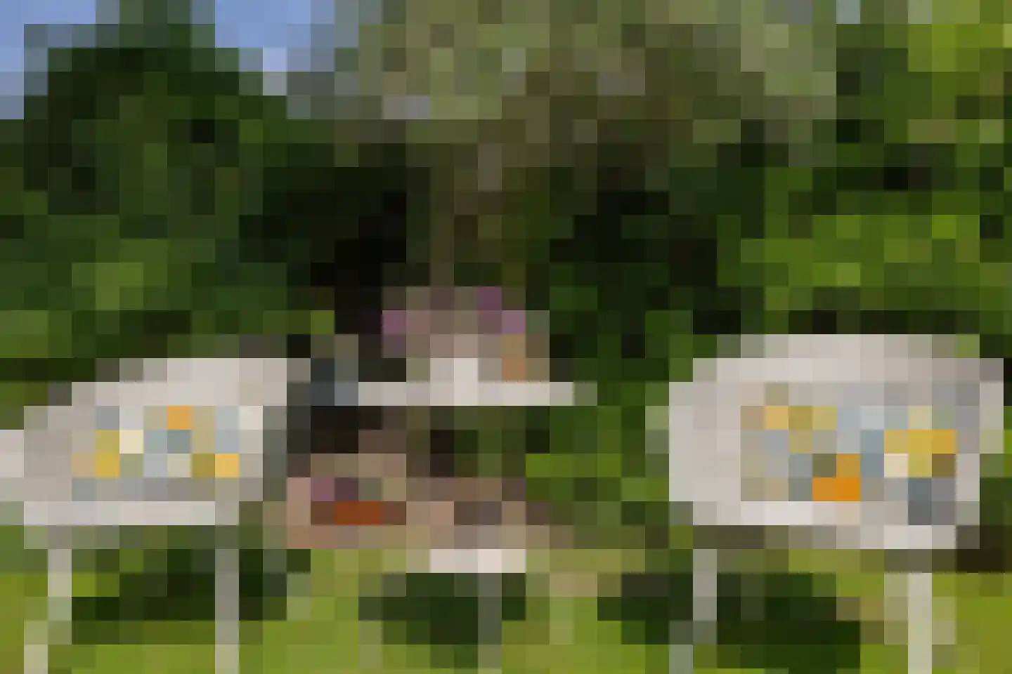Weverslaan 13 Voorthuizen thumbnail 32