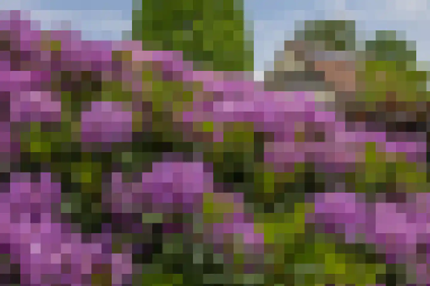 Weverslaan 13 Voorthuizen thumbnail 35
