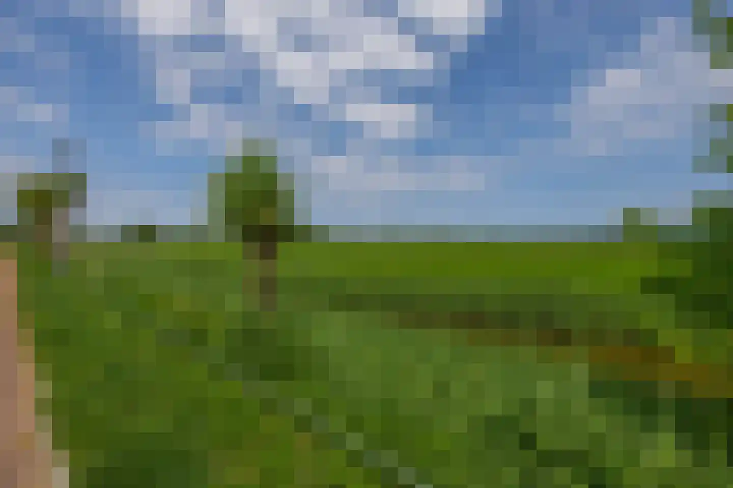 Weverslaan 13 Voorthuizen thumbnail 40