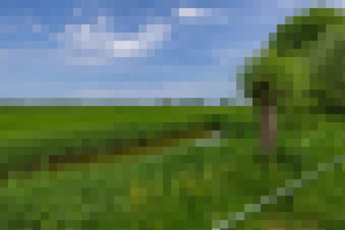 Weverslaan 13 Voorthuizen thumbnail 41