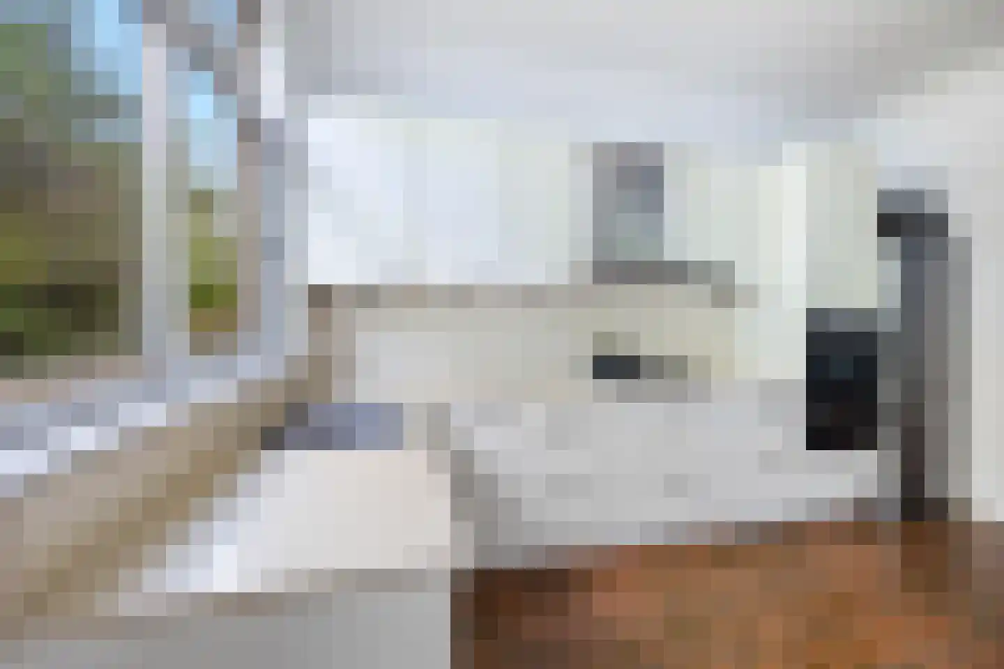 Weverslaan 25 Voorburg thumbnail 18