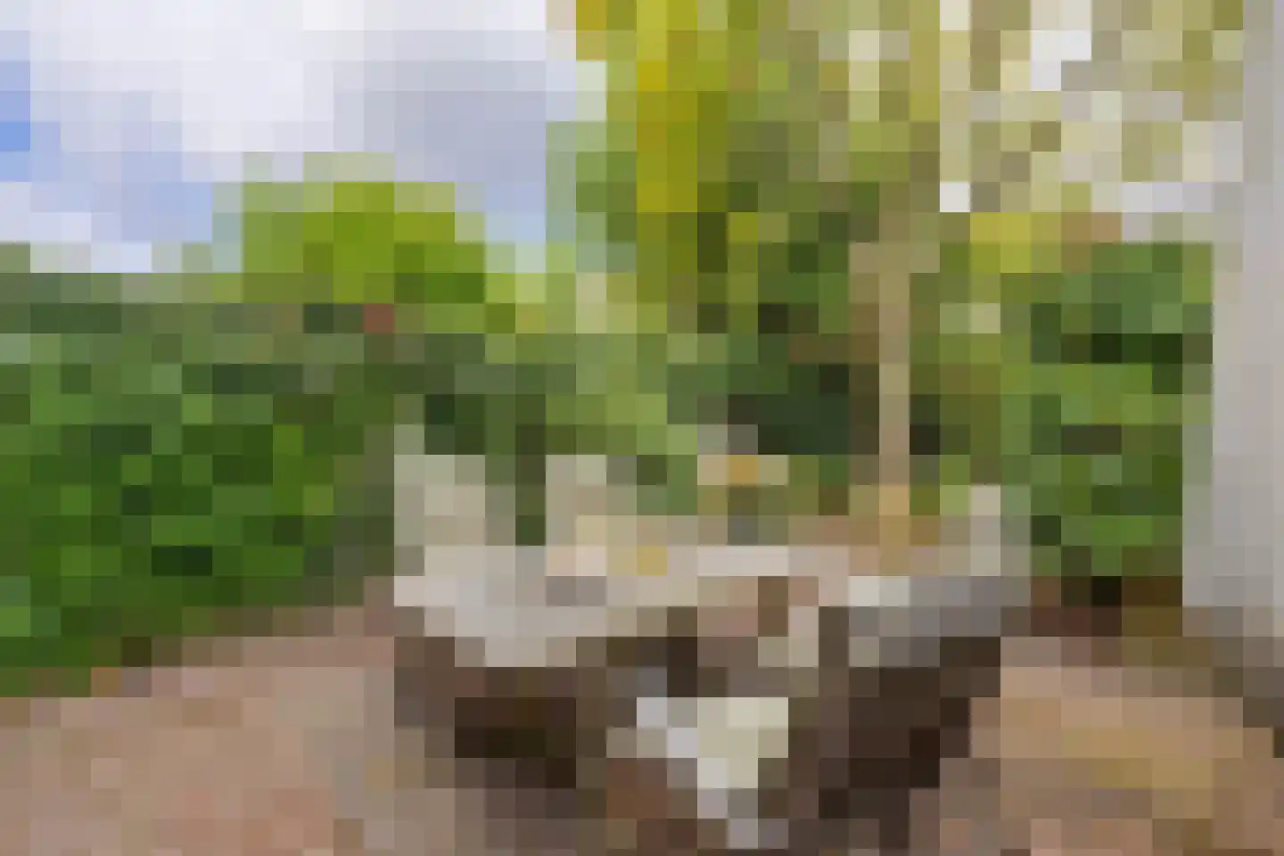 Weverslaan 25 Voorburg thumbnail 21