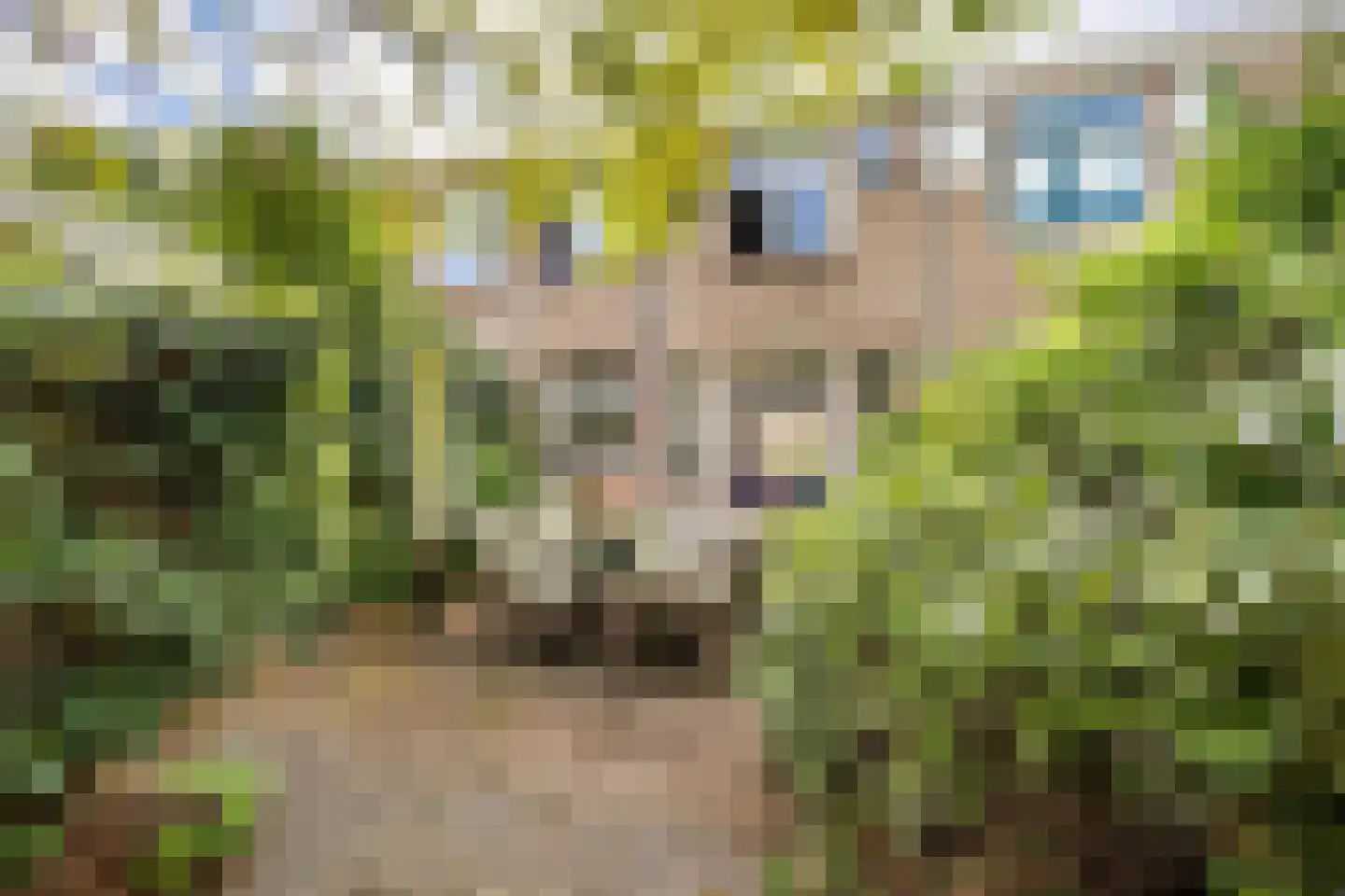 Weverslaan 25 Voorburg thumbnail 22