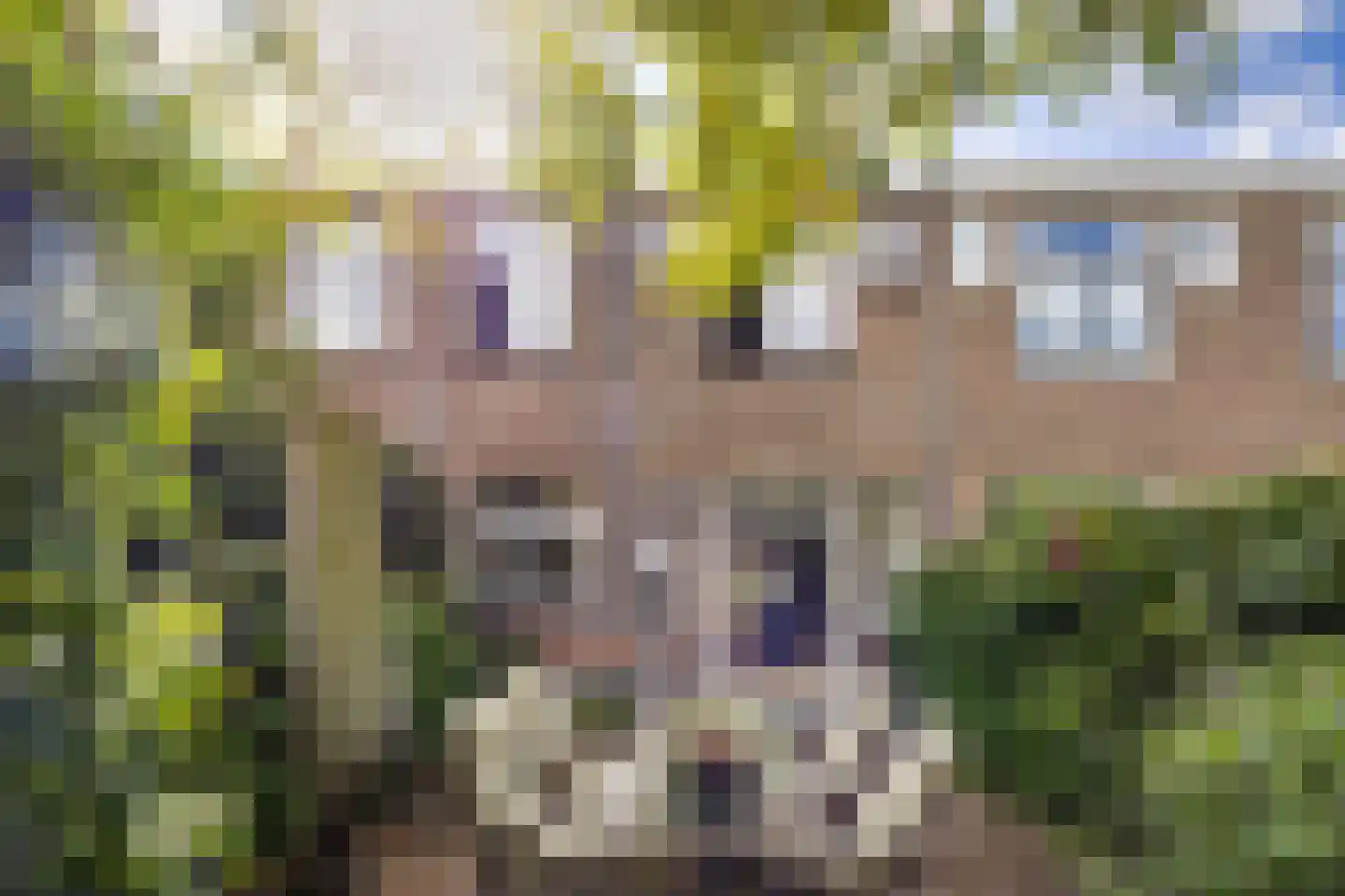 Weverslaan 25 Voorburg thumbnail 23
