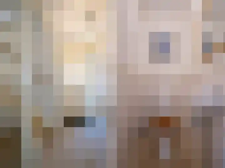 Weverslaan 3 Voorthuizen thumbnail 15