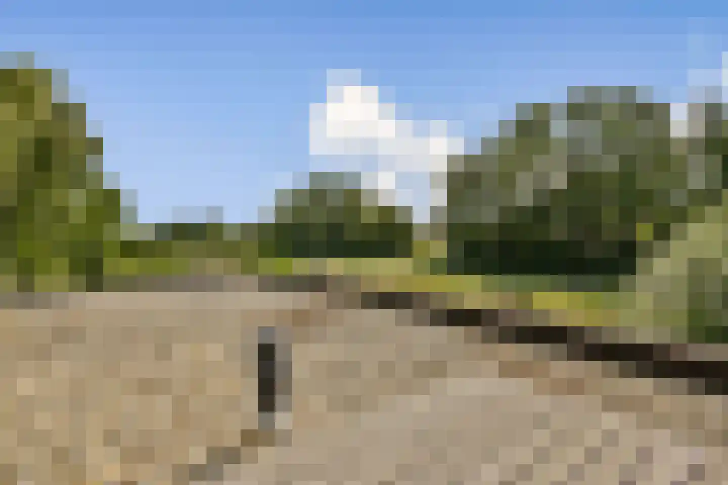 Weverslaan 30 Zuidland thumbnail 15