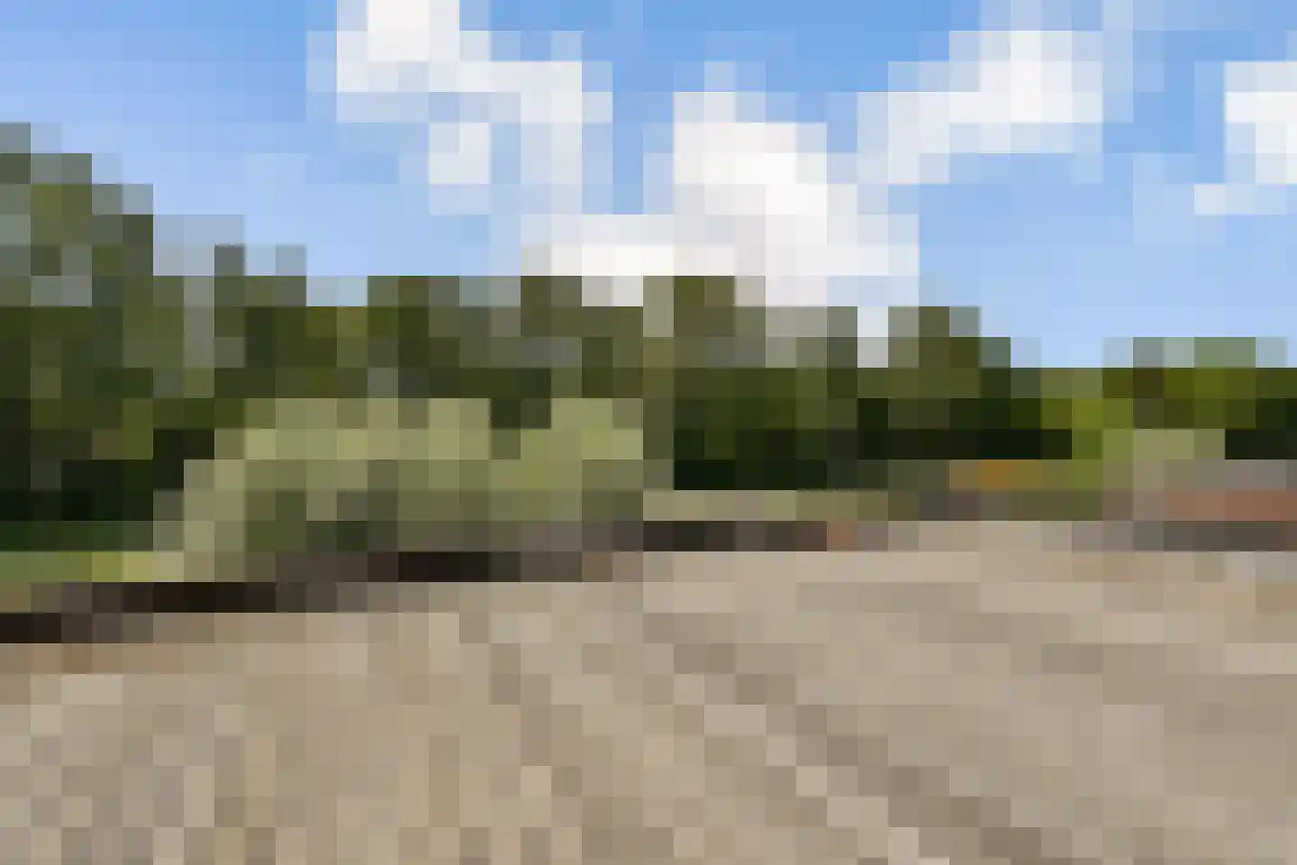 Weverslaan 30 Zuidland thumbnail 16