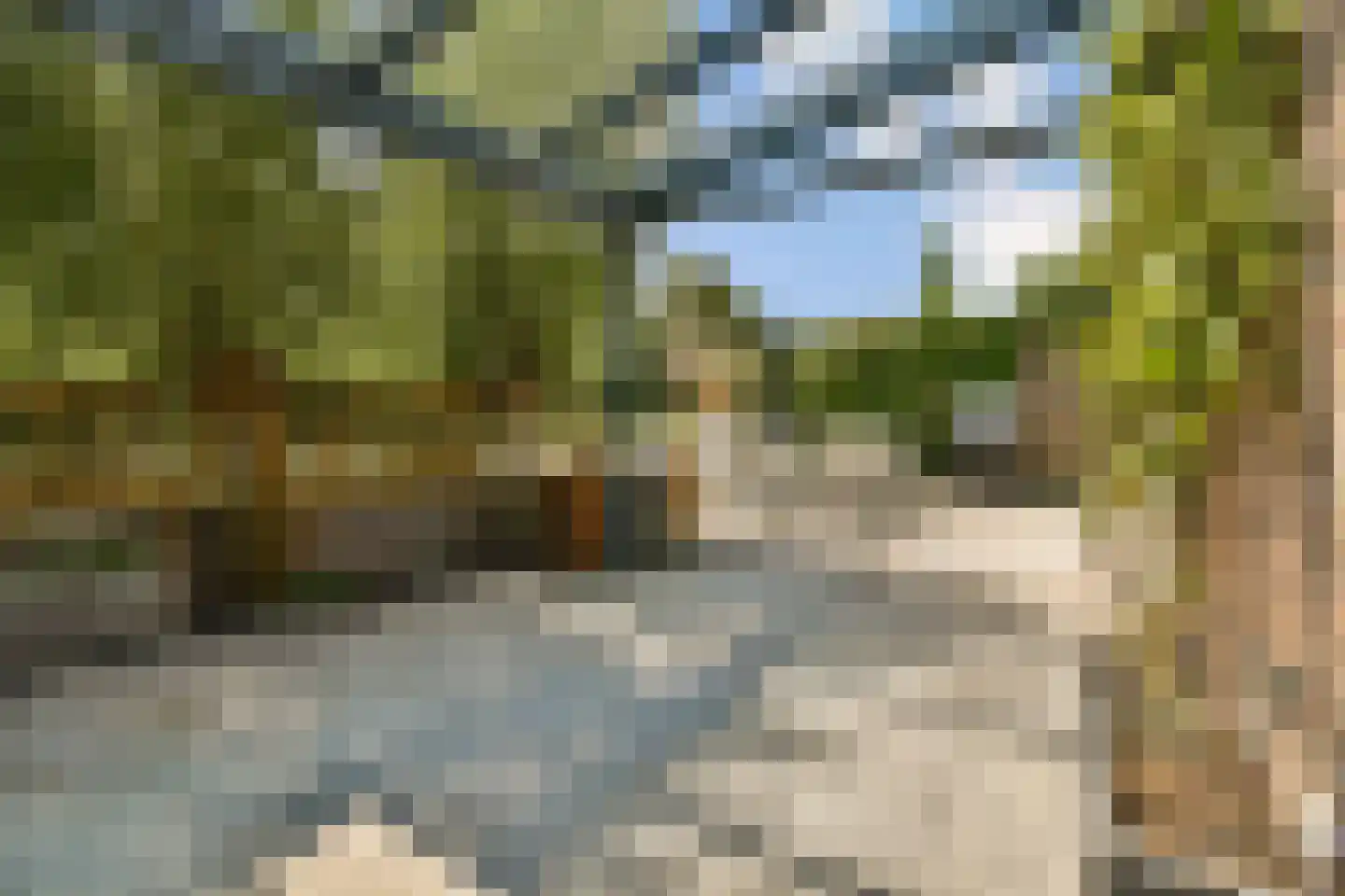 Weverslaan 30 Zuidland thumbnail 27