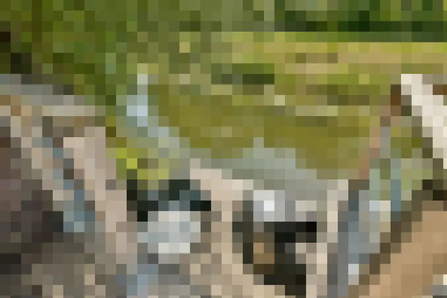 Weverslaan 30 Zuidland thumbnail 31