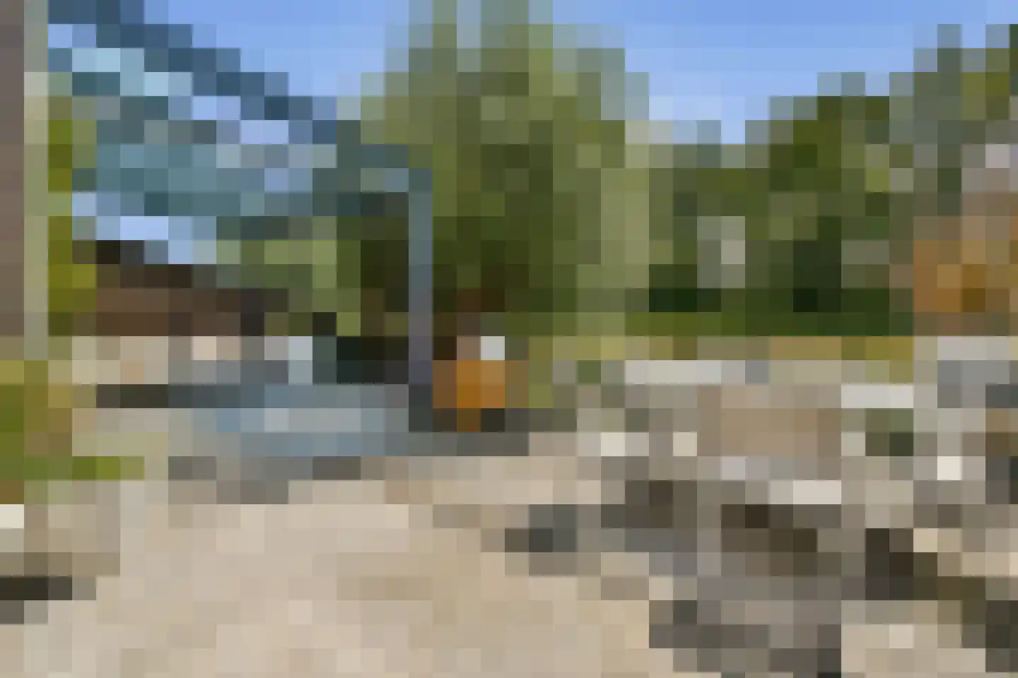 Weverslaan 30 Zuidland thumbnail 4