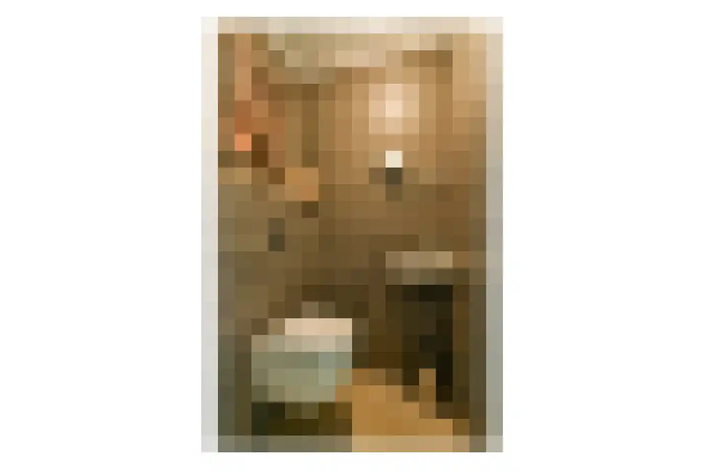 Weverslaan 30 Zuidland thumbnail 6