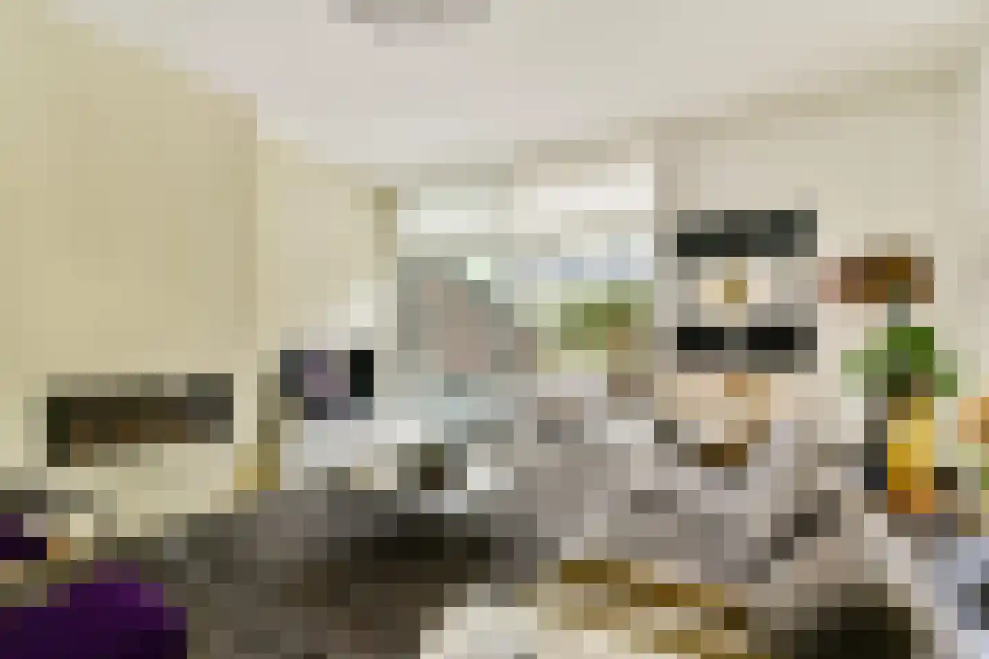 Weverslaan 30 Zuidland thumbnail 7