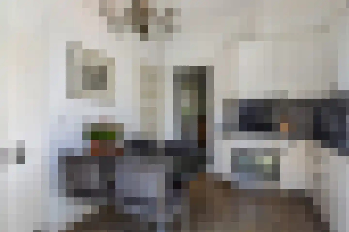 Weverslaan 46 Voorburg thumbnail 15