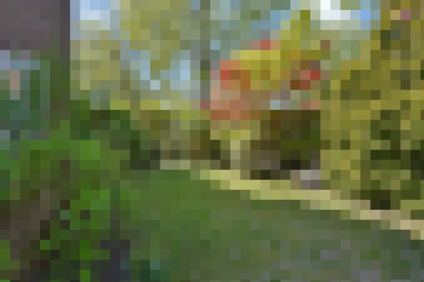 Weverslaan 46 Voorburg thumbnail 41