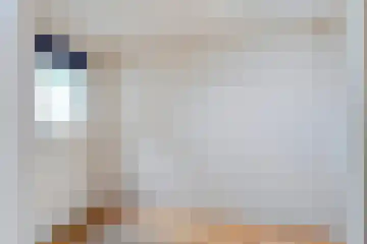 Weverslaan 9 Dwingeloo thumbnail 10