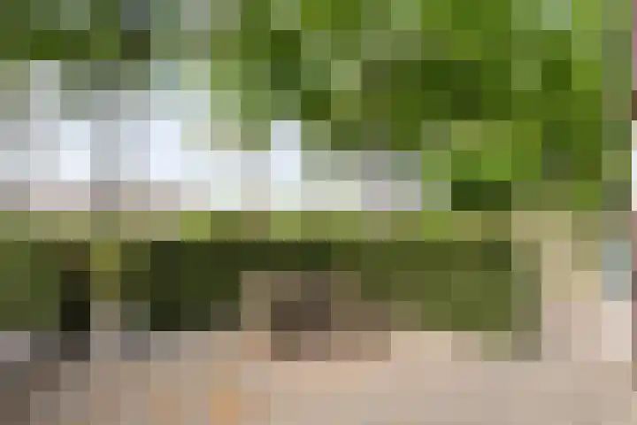 Weverslaan 9 Dwingeloo thumbnail 19
