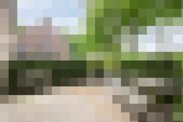 Weverslaan 9 Dwingeloo thumbnail 20