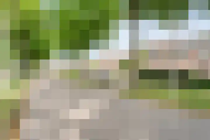Weverslaan 9 Dwingeloo thumbnail 24