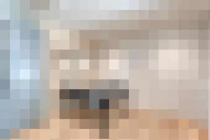 Weverslaan 9 Dwingeloo thumbnail 27