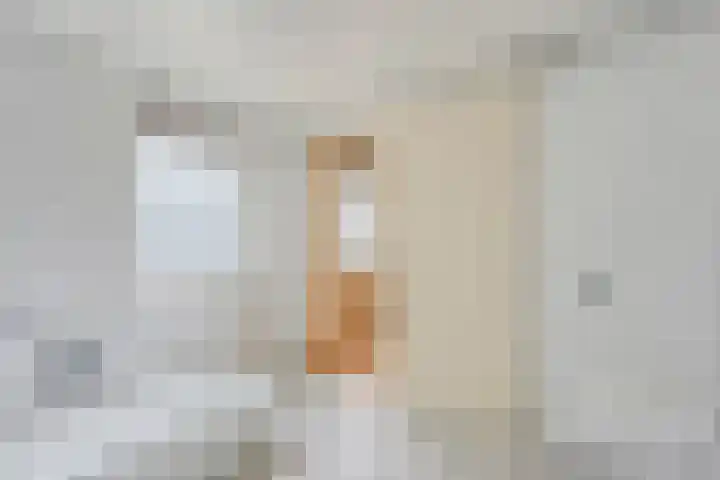 Weverslaan 9 Dwingeloo thumbnail 41