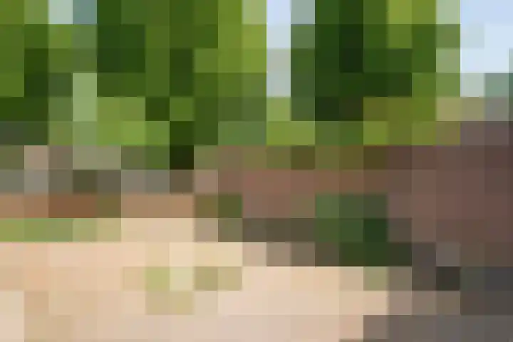 Weverslaan 9 Dwingeloo thumbnail 43
