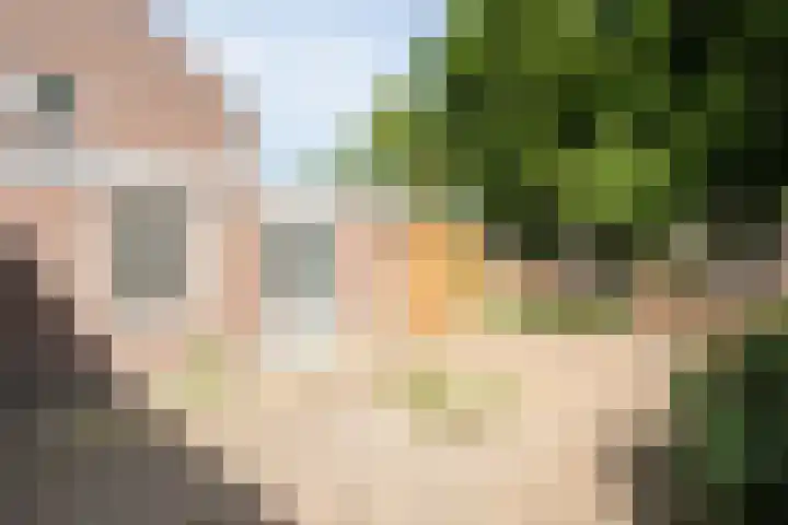 Weverslaan 9 Dwingeloo thumbnail 44
